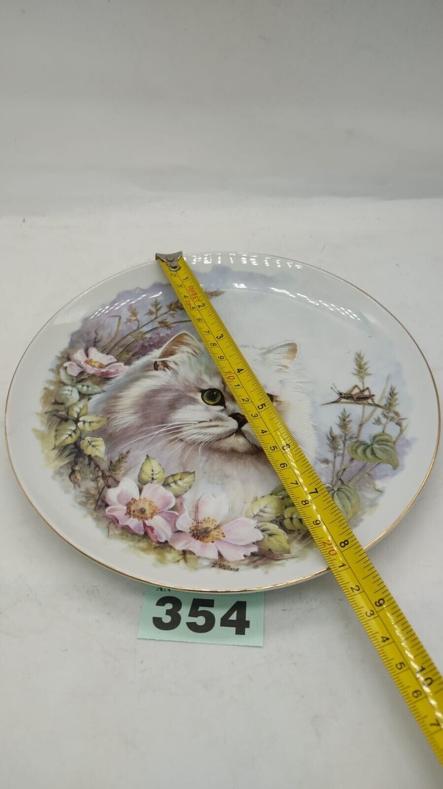 NBJ Staffordshire Decorative Collectors Plate Cat with Flowers Design Vintage