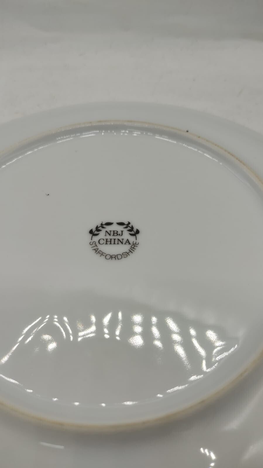 NBJ Staffordshire Decorative Collectors Plate Cat with Flowers Design Vintage