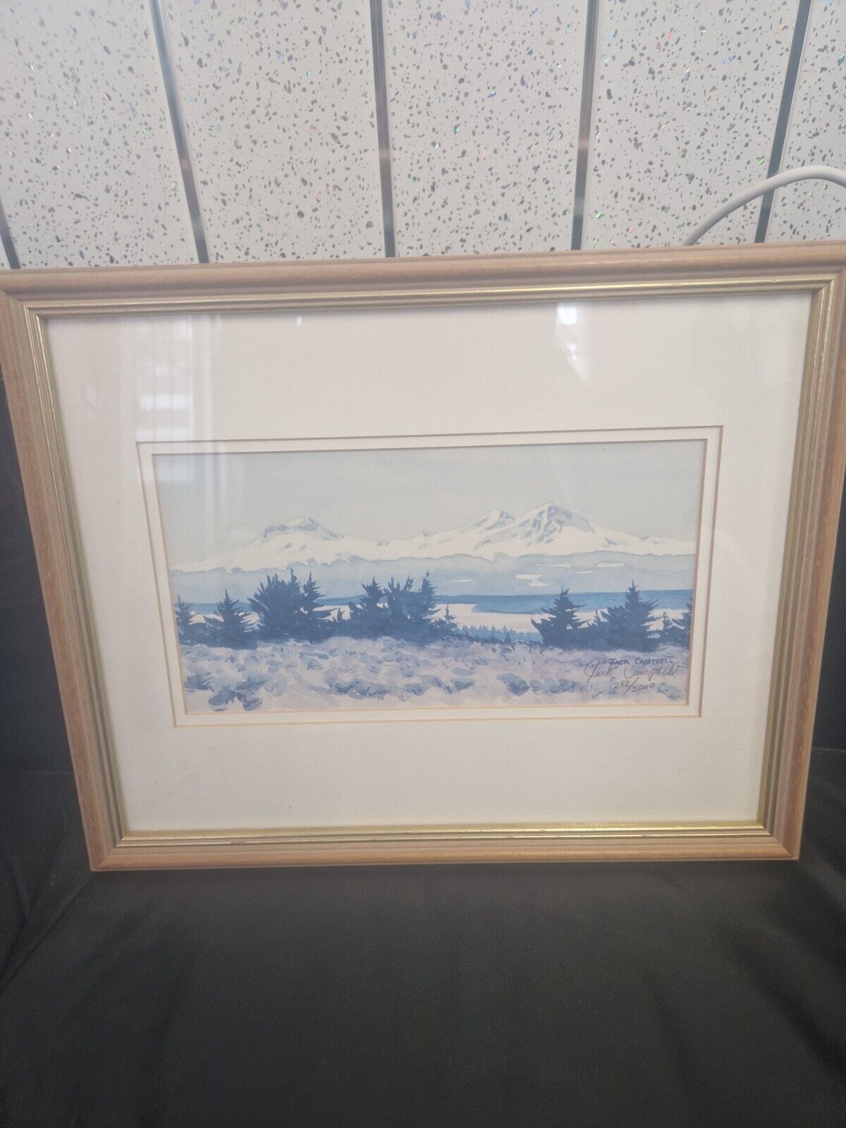 Jack Campbell Mountains Limited Edition Signed Print Framed Trees Snow Nature