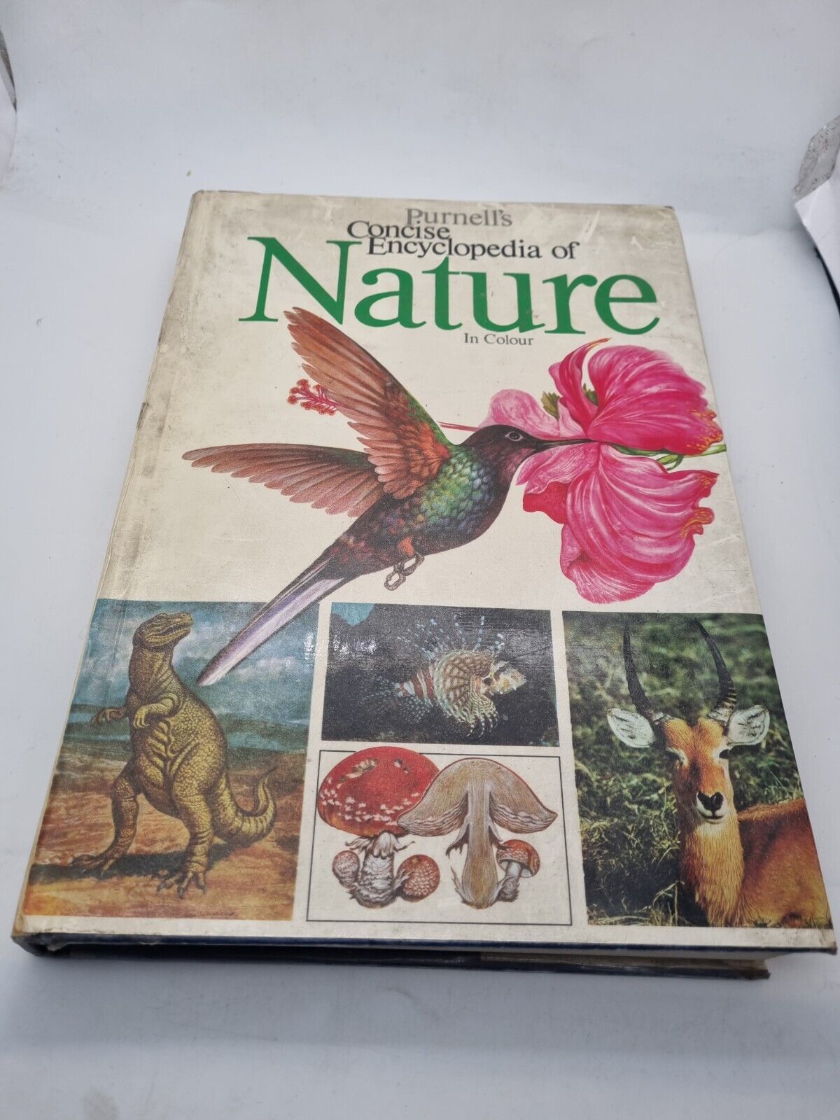 Purnell's Concise Encyclopaedia of Nature by Michael Chinery (HB, Vintage 1972)