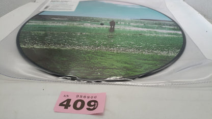 Manic Street Preachers Lp Ultra Vivid Lament Picture Disc Vinyl Limited Edition